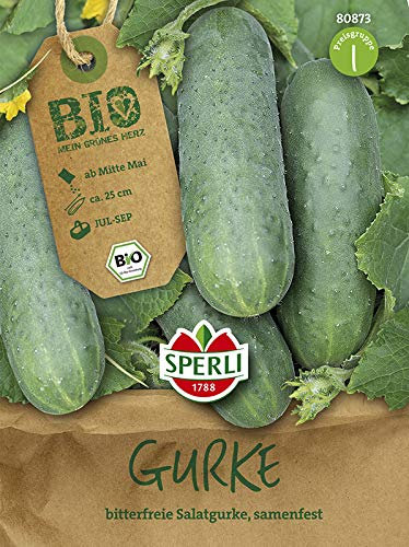Sperli 80873 Salatgurke Marketmore (Bio-Gurkensamen)