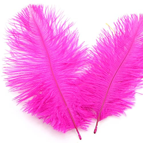 10 Stück 15-20cm Natürliche Straußenfedern,Strauß Feder zum Basteln,Bastel Federn für DIY Traumfänger Zubehör,Heimdekoration,KostüMe,Tischdeko Hochzeit Party Fest Hüte Kleidung Dekoration,Rose