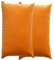 RTSFKFS Kissenbezug 60x80 Kissen 50x70 Bezug Couch Sofa Kissenbezüge Samt 40x60，2er Set Dekokissen Bezug Blau/Grün/Grau,Pillowcase Pillow Cases 40 x 70,Kissen Abdeckung(Z,50x70 cm 2pcs)