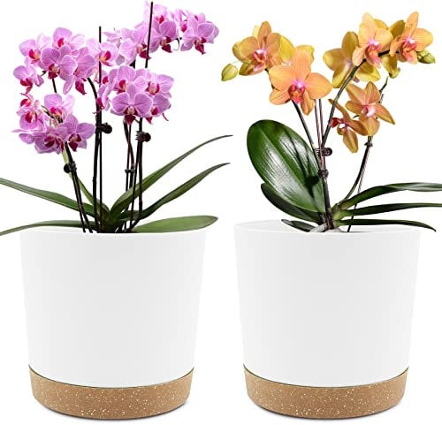 QCQHDU Lot de 2 Pots de Plantes 20.3cm, Pots pour Plantes d'intérieur avec Trous de Drainage et Base Amovible, Soucoupe décorative Moderne pour jardinières d'extérieur (Blanc 20.3cm)