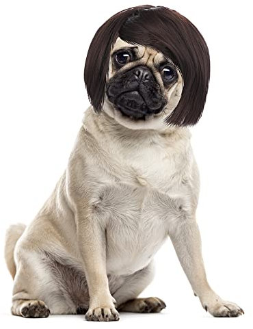 Cobee Lustige Hunde Katzen Cosplay Perücke,Haustier Perücke verstellbares Kostüm lustige Kopfbedeckung Kostüme Kopfbedeckung für kleine mittelgroße Hunde Perücken Halloween Weihnachten Dekorationen