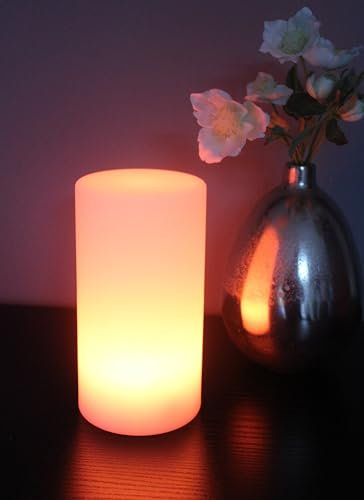 Arnusa LED Akku Tischlampe PL412 mit Fernbedienung Farbwechsel kabellos Dekoleuchte USB