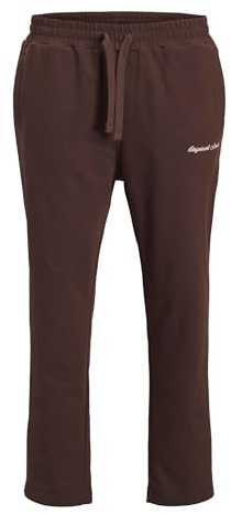 JACK & JONES Jpstkane Norrebro Sweat Pants Noos