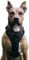 No Pull Hundegeschirr, Verstellbar Atmungsaktiv Reflektierend Weich Gepolstert Hunde Geschirr, Brustgeschirr für Hunde (Schwarz, M)