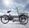 DSeenLeap Dreirad-Scooter, Tandem-Dreirad mit Vordersitz, Beifahrersitz mit abnehmbarem Verdeck und Geländer, Lastendreirad mit Kabine vorne, Pedaldreirad mit Stützrädern (Lastendreirad, 20 Zoll)