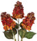 Briful 3er Set Künstliche Hortensien Kunstblumen Wie Echt Hesbstblumen Rispenhortensie, 73CM Orange Dekoblumen Kunstzweige für Blumengesteck Home Resto Herbstdekoration