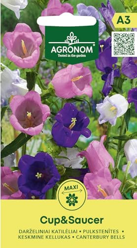 AGRONOM | Marienglocken - CUP&SAUCER samen | Blumensamen | Pflanze samen | Zweijährige, 60–80 cm hohe Pflanzen mit halbgefüllten, glockenförmigen Blüten von 4 cm Durchmesser | Gartensamen | 1 Pack