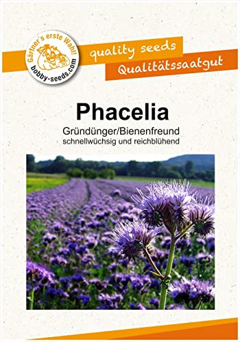 Bodenkur Phacelia Bienenfreund - einjährige Gründüngung und Bienenweide Portion