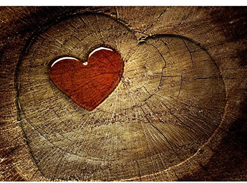 Runa Art Fototapeten 396 x 280 cm Holz Herz - Vlies Wanddekoration Wohnzimmer Schlafzimmer - Deutsche Manufaktur - Braun Rot 9013012c