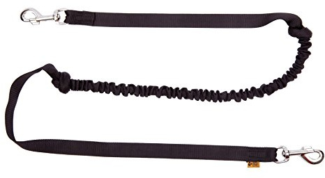 Dingo Hundeleine aus Band Ruckdämpfer mit 2 Karabinern Lange 170 cm Schwarz