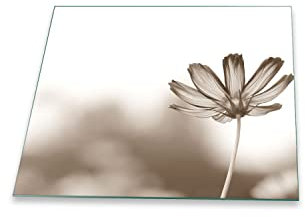 Herdabdeckplatte Abdeckung Ceranfeld Abdeckplatte Schneidebrett 1-Teilig 60x52 Blumen Grau Spritzschutz Glasplatte Ceranfeldabdeckung Schutz Kochplatten Herdschutz Sicherheitsglas Glasschneidebrett