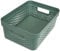 CURVER Infinity Bandeja de Almacenamiento, Resin, Verde, Medium