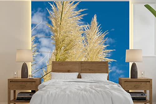 Selbstklebend Tapete Wandpapier Wandaufkleber Fototapete Tapeten Wanddeko 350x350 cm Pflanzen - Pampasgras - Luft