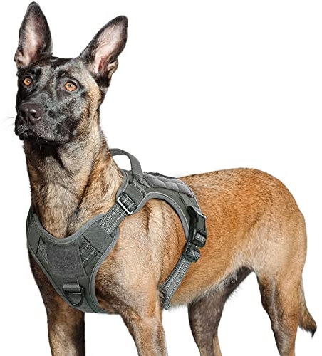 rabbitgoo Hundegeschirr Grosse Hunde, Anti Zug Geschirr Hund Verstellbar mit Griffe Verbreitert, Robust und Verschleißfest, Taktisches Hundegeschirr mit Metallschnallen zum Wandern(L, Grau)