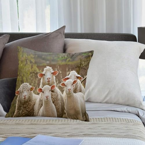 KHWEJ Kissenbezüge 40x40 cm,Schafe und Lämmer auf der Weide,Zierkissenbezug Cushion Cover Couch Wohnzimmer Außenbereich Deko