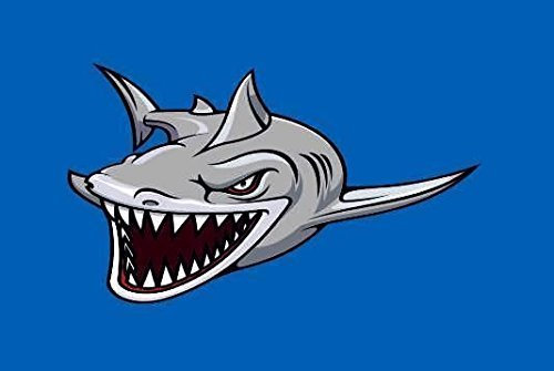 U24 Fahne Flagge Hai blau Bootsflagge Premiumqualität 40 x 60 cm