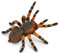CollectA Mexikanische Rotknie-Vogelspinne