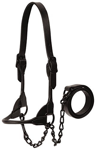 Weaver Leder Magic Show Halfter, 90-0611, Schwarz, M