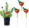 EBANKU 3 Pièces Automatique Abreuvoir pour Plantes, en Forme d'oiseau Coloré Automatique Abreuvoir pour Les Plantes de Jardin d'Intérieur et d'Extérieur Maintient Le Sol Humide