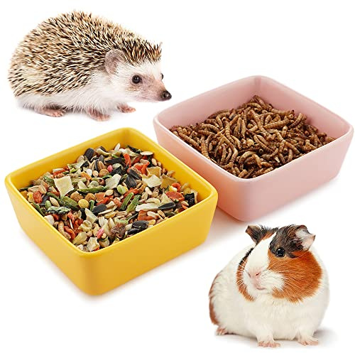 2 Pcs Pet Ceramic Food Bowl and Water Dish Feeder for Guinea Pig Hedgehog Squirrel Small Animals