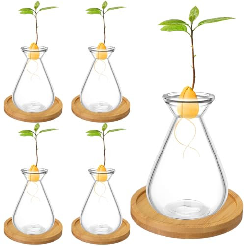 FoldTier Kleine Avocado-Samen-Starterglas mit Bambusbasis, Pflanzgefäß, Pflanzgefäß, kleiner Pflanzgefäß, Startervasen für Avocado, , Knoblauch, Reben, Wurzelsamen, 4 Stück
