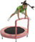 Bazoongi Trampoline avec poignée en Forme de Lapin de 122 cm