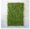 Hogar y Mas Jardín Vertical de Pared, Césped Artificial Placa Modular 60x40x5 cm. Diseño Original para Decoración Realista.