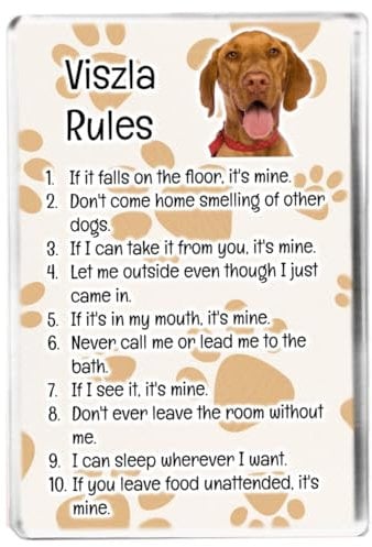 Viszla Rules - Funny Pet Owner Quote - Dog Mum/Dad - Fridge Magnet - Novelty Gift