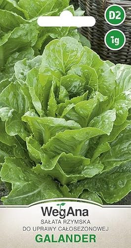 WegAna Galander Semi di lattuga romana 1g, Semi di ortaggi robusti medio-precoci, Semi di ortaggi, Semi per la coltivazione, Semi per la serra