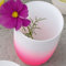 Asa Selection Neon Windlicht Vase Pink