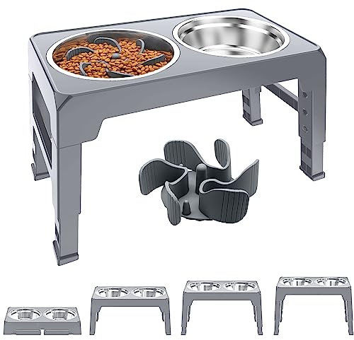 Mavicen Raised Dog Bowl, 1.2L Stainless Steel No Spill Double Pet Food Bowls with Slow Feeder, 4 Heights Adjustable Elevated Dog Food Bowl with Stand for Small Medium Large Dogs Cats, Grey
