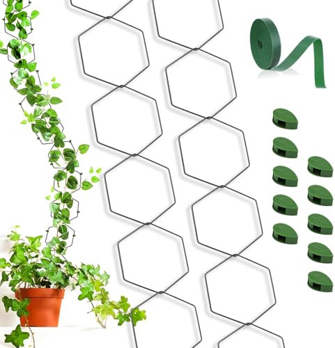 18 PCS Treillis à Chaîne pour Plantes Grimpantes, Aide à l'escalade pour Plantes, Support de Plantes, avec Rubans 1M et Crochets 10pcs, pour Plantes Grimpantes (Hexagon)