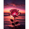 DIY Diamond Painting Rose 5D Diamantmalerei Set für Erwachsene,Vollständige Bohrung Glitzernde Diamantmalerei Bilder für Heimdekoration Wandkunst,Perfekt für Wohnzimmer oder Schlafzimmer (30x40cm)