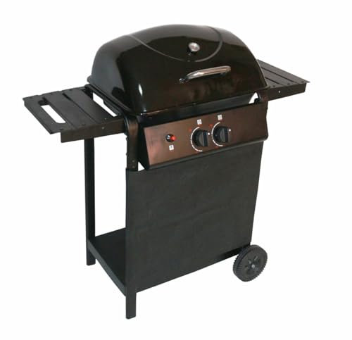 Gravidus Gasgrill 2-flammig, schwarz, 6 kW, mit Thermometer & Deckel, verchromter Grillrost 50x35 cm, ideal für Garten & Terrasse