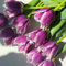 bulbi di tulipano - bulbi di fiori precoci tulipano piante in vaso resistenti all'esterno aconito invernale, fiori per balcone piante da balcone, decorazione da giardino esterno 3pcs