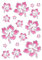 Aufkleber Hibiskusblüten-Set, 300 x 200 mm, rosa/silber ~~~~~ schneller Versand innerhalb 24 Stunden ~~~~~