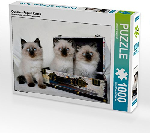 CALVENDO Puzzle Crusaders Ragdoll Katzen | 1000 Teile Lege-Größe 64 x 48 cm Foto-Puzzle für glückliche Stunden
