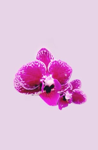 Purple orchid Journal