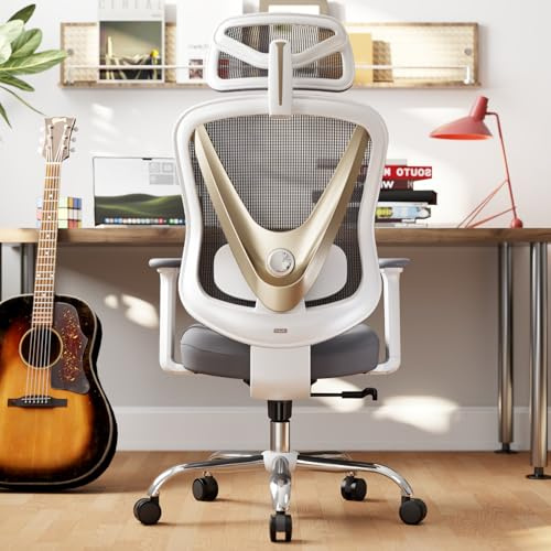 HOLLUDLE Ergonomischer Bürostuhl mit 3D Lendenstütze & 3D verstellbaren Armlehnen – V-förmiges Rücken-Design, bequemer Schreibtischstuhl für Büro & Zuhause, Weiß-Gold