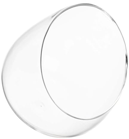 YARNOW Schräg Geschnittenes Mikrolandschaftsglas aus Hochborosilikat Glas mit Versiegeltem Pflanzgefäß für Moos und Sukkulenten für Desktop Dekoration und Pflanzenliebhaber