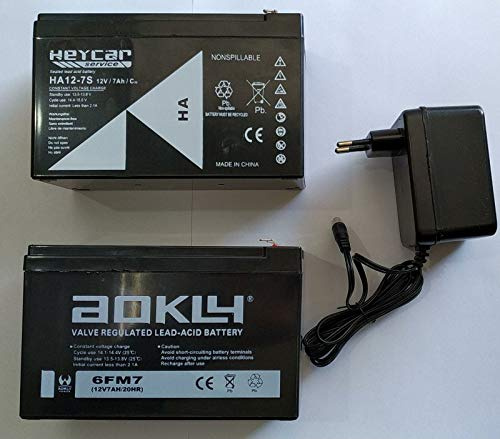 Indalchess KIT 2 Batteries 12V ET 7AH + Chargeur 12V pour Voiture Electrique Enfant