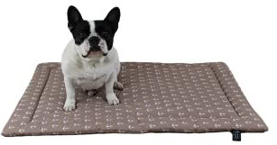 Made in Germany rutschfeste Hundedecke Sommer, Anker Beige, 75x115cm für kleine & große Hunde I weiche Kuscheldecke, waschbar, trocknergeeignet