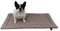 Made in Germany rutschfeste Hundedecke Sommer, Anker Beige, 75x115cm für kleine & große Hunde I weiche Kuscheldecke, waschbar, trocknergeeignet