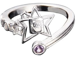 westtrend Anime JoJo's Bizarre Adventure Peripherie Kuujou Joutarou Star Platin Ring Cosplay Ring