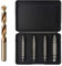 5PCS Damaged Screw Extractor Set, Upgraded HSS 4341, Screw Remover Drill Bits, Double-Headed Bit Tool, Universal for Stripped, Broken, Damaged Screws, Gift for Men