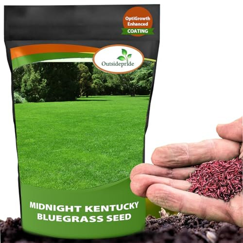 Outsidepride: Grass Seed Midnight Kentucky Bluegrass Seed - 10 Lbs
