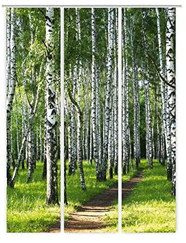 gardinen-for-life Flächenvorhang Birkenwald Set, 3 Frühlings - Schiebevorhänge, Jew. Gr.60x245 cm