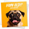 Punkcards Lustige Hunde-Geburtstagskarte „How Old!?“ Lustige Geburtstagskarte „Happy Birthday“, beste Freundin, lustige Geburtstagskarte für Freund, lustige Geburtstagskarte für Hundeliebhaber (Orang