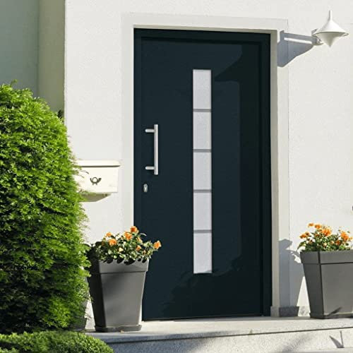 Home Items, Haustür Aluminium und PVC, anthrazit, 100 x 210 cm, passend für Möbel