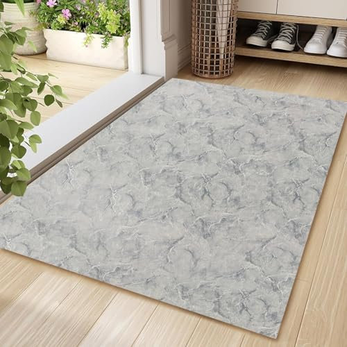 Aoxisicoo Innen-Fußmatte 80x120cm, waschbare Schmutzfangmatte, superdünne Eingangstürmatte,rutschfeste Schmutzfang langlebige Teppich, saugfähiger Küchenläufer,Grau
